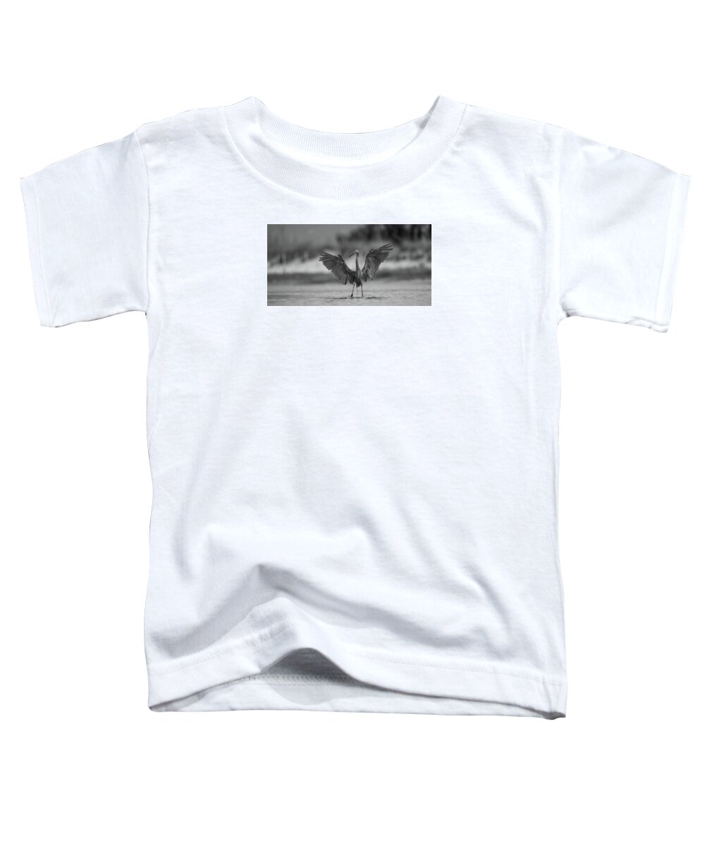 Gray Cathedral - Toddler T-Shirt