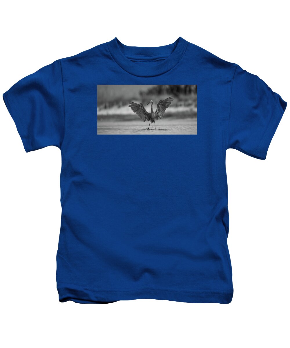 Gray Cathedral - Kids T-Shirt