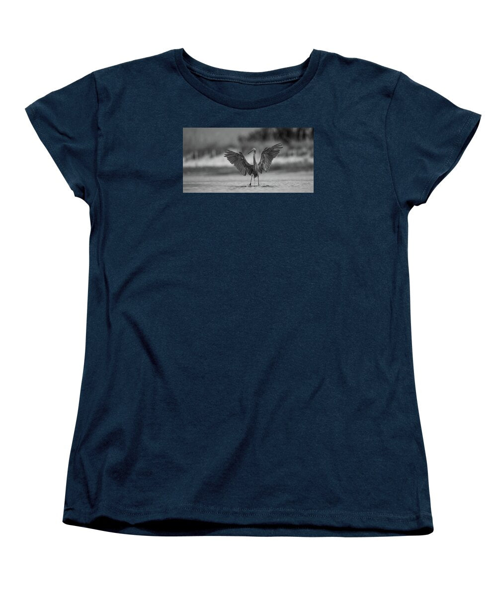 Gray Cathedral - Women's T-Shirt (Standard Fit)