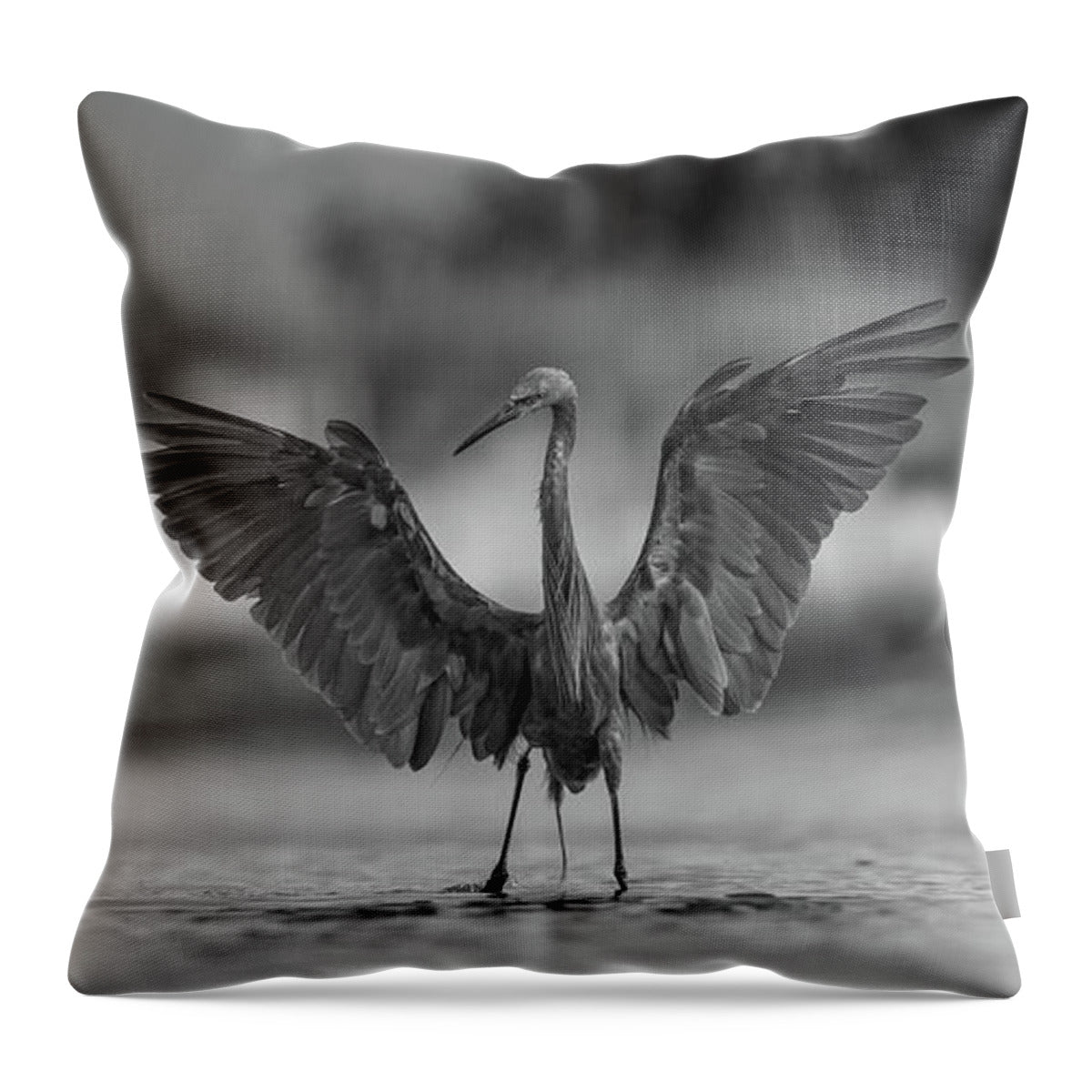 Gray Cathedral - Throw Pillow