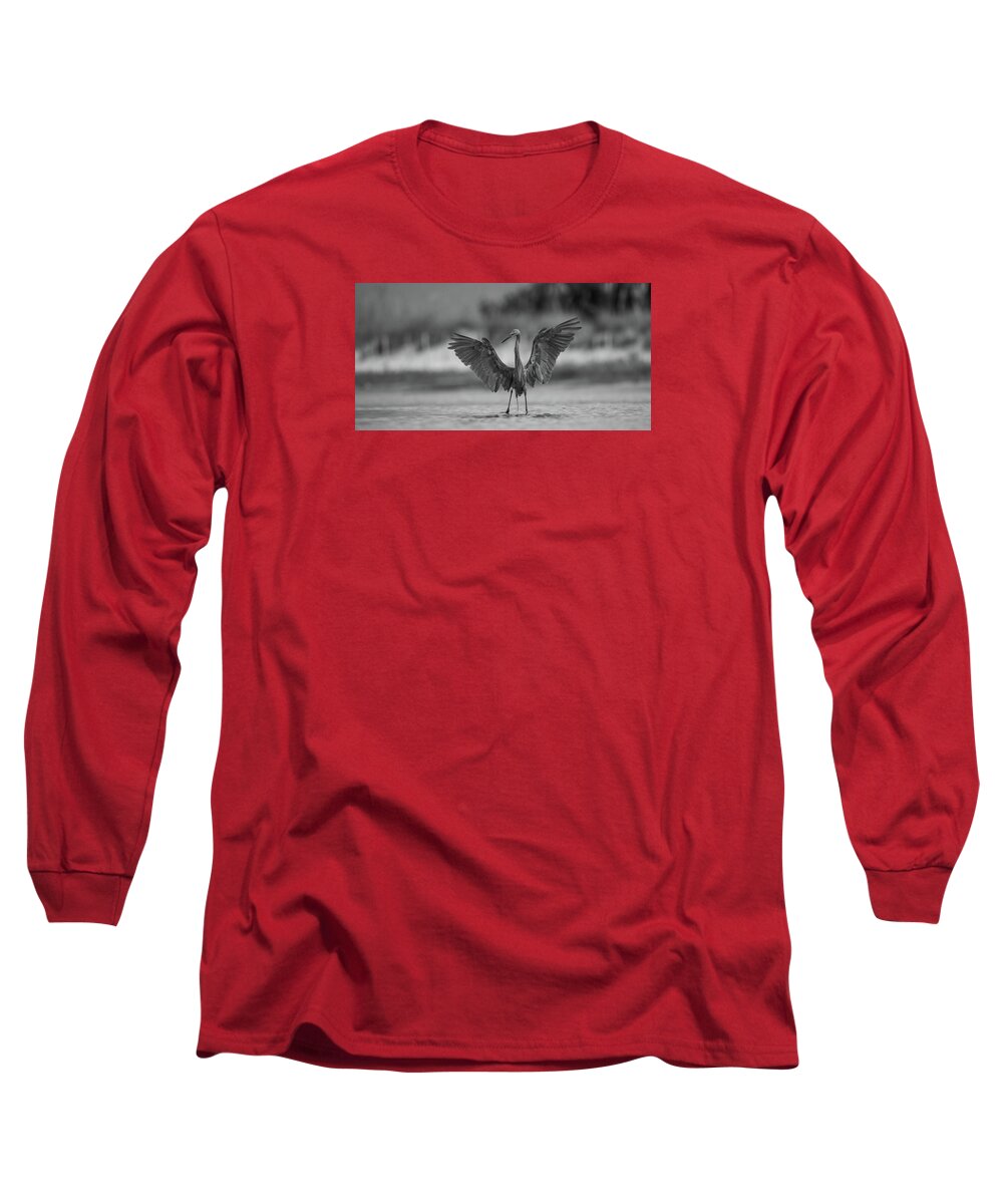Gray Cathedral - Long Sleeve T-Shirt