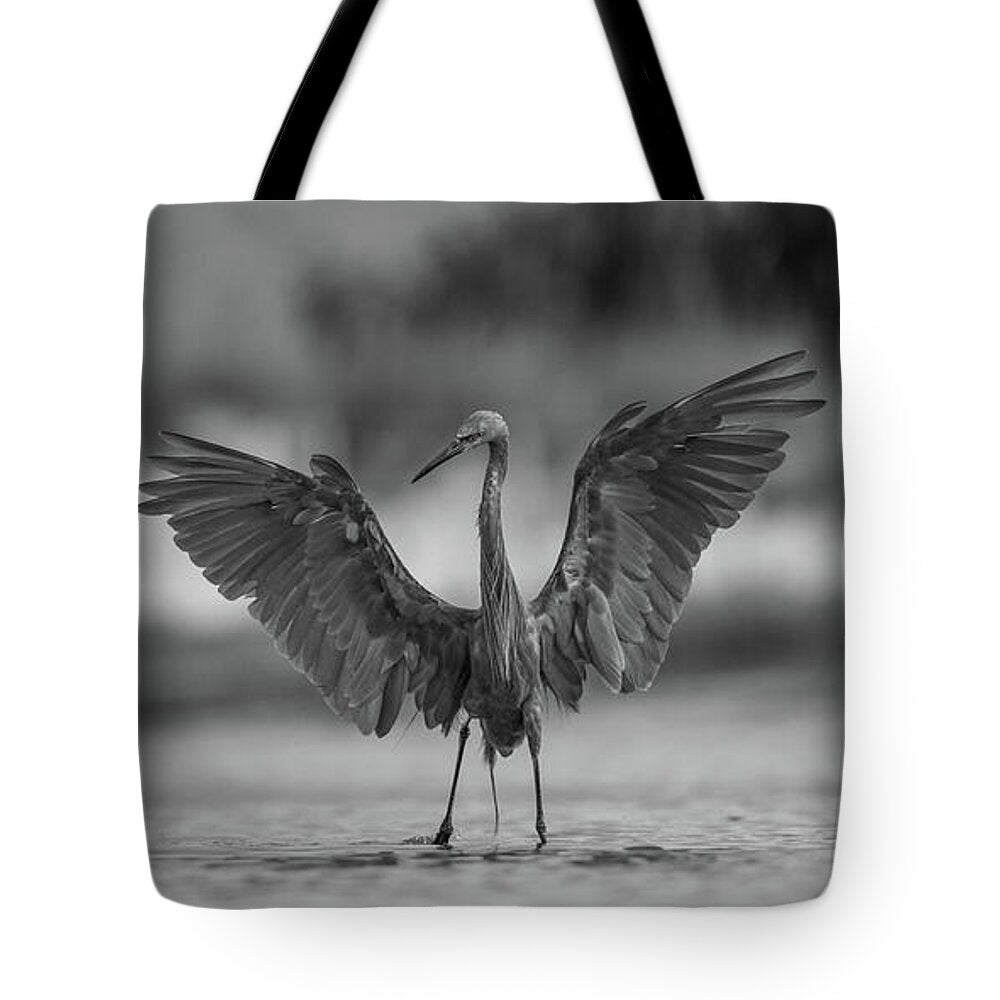 Gray Cathedral - Tote Bag