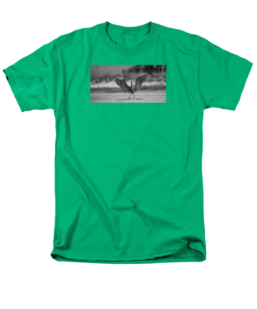 Gray Cathedral - Men's T-Shirt  (Regular Fit)