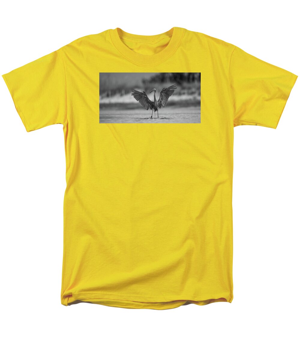 Gray Cathedral - Men's T-Shirt  (Regular Fit)