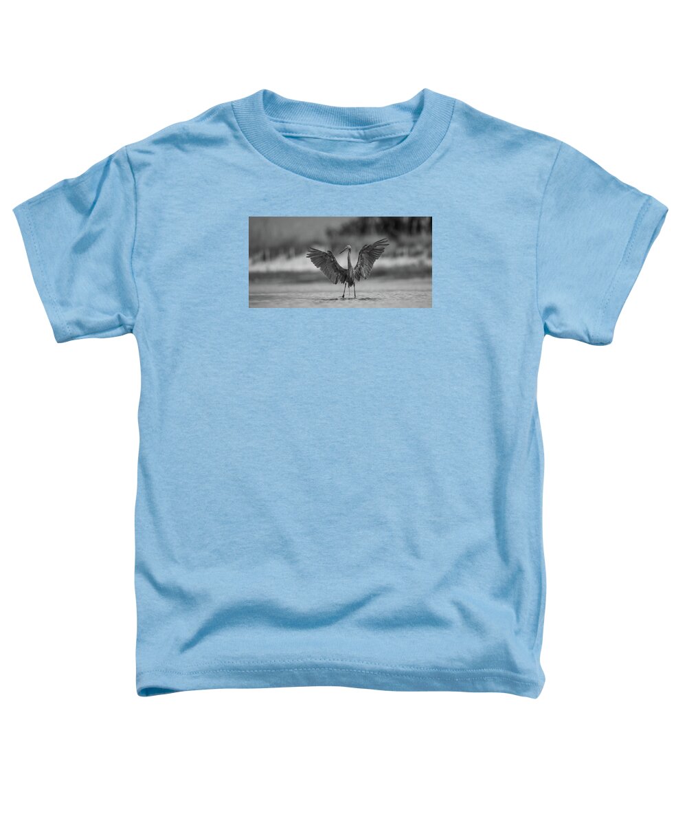 Gray Cathedral - Toddler T-Shirt