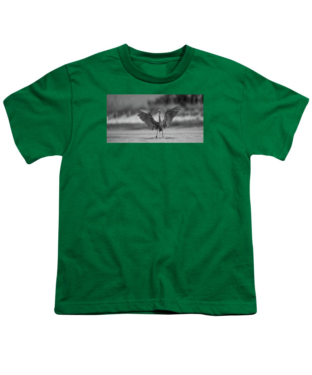 Gray Cathedral - Youth T-Shirt