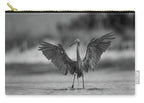 Gray Cathedral - Zip Pouch