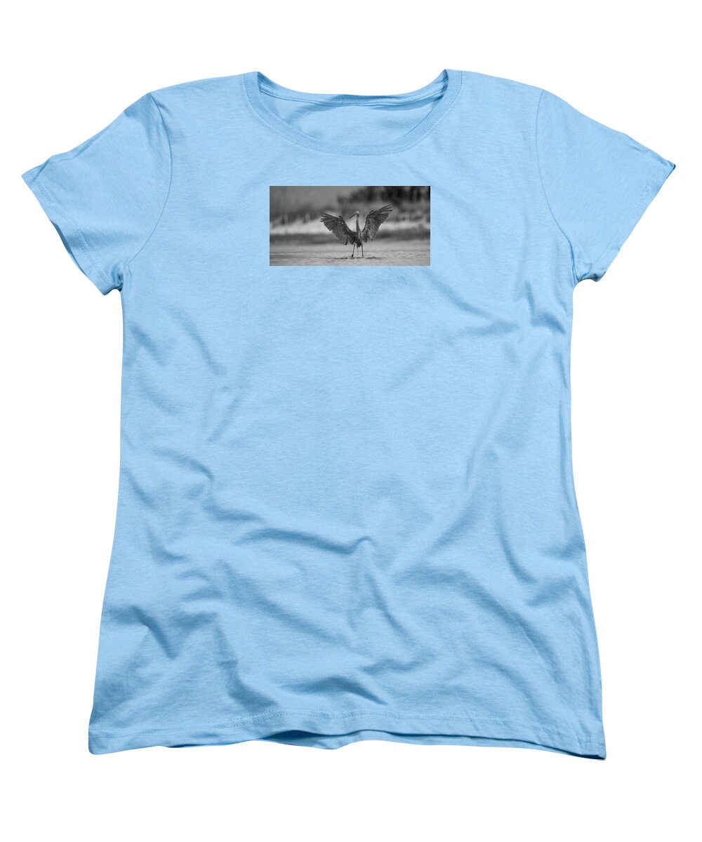 Gray Cathedral - Women's T-Shirt (Standard Fit)