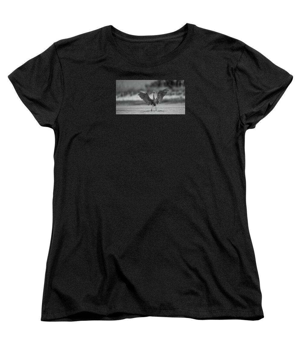 Gray Cathedral - Women's T-Shirt (Standard Fit)