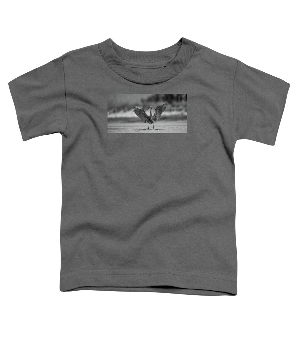 Gray Cathedral - Toddler T-Shirt
