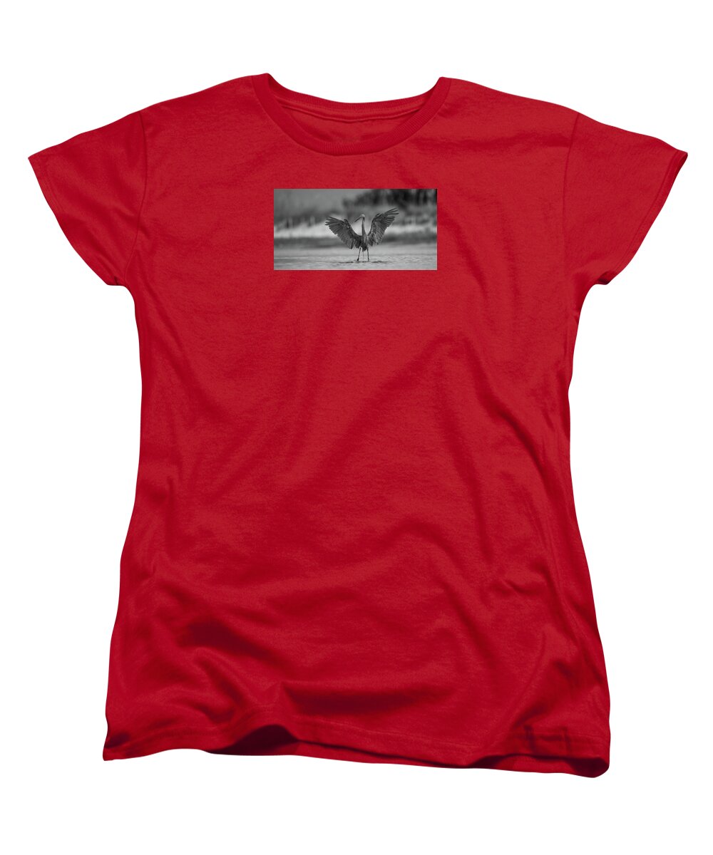 Gray Cathedral - Women's T-Shirt (Standard Fit)