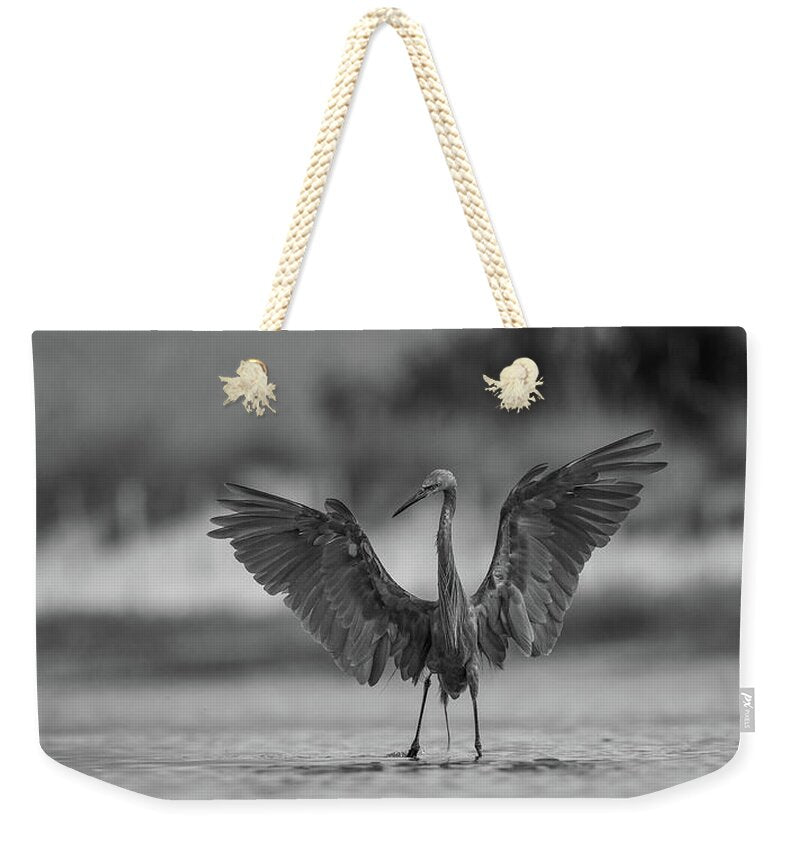 Gray Cathedral - Weekender Tote Bag