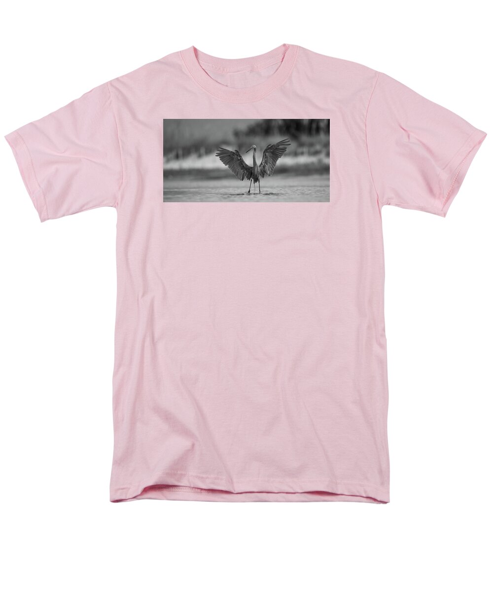 Gray Cathedral - Men's T-Shirt  (Regular Fit)