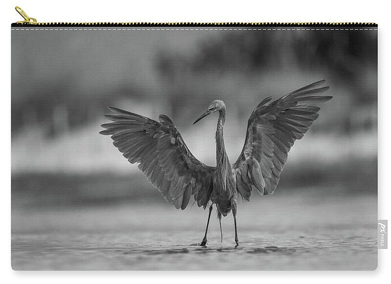 Gray Cathedral - Zip Pouch