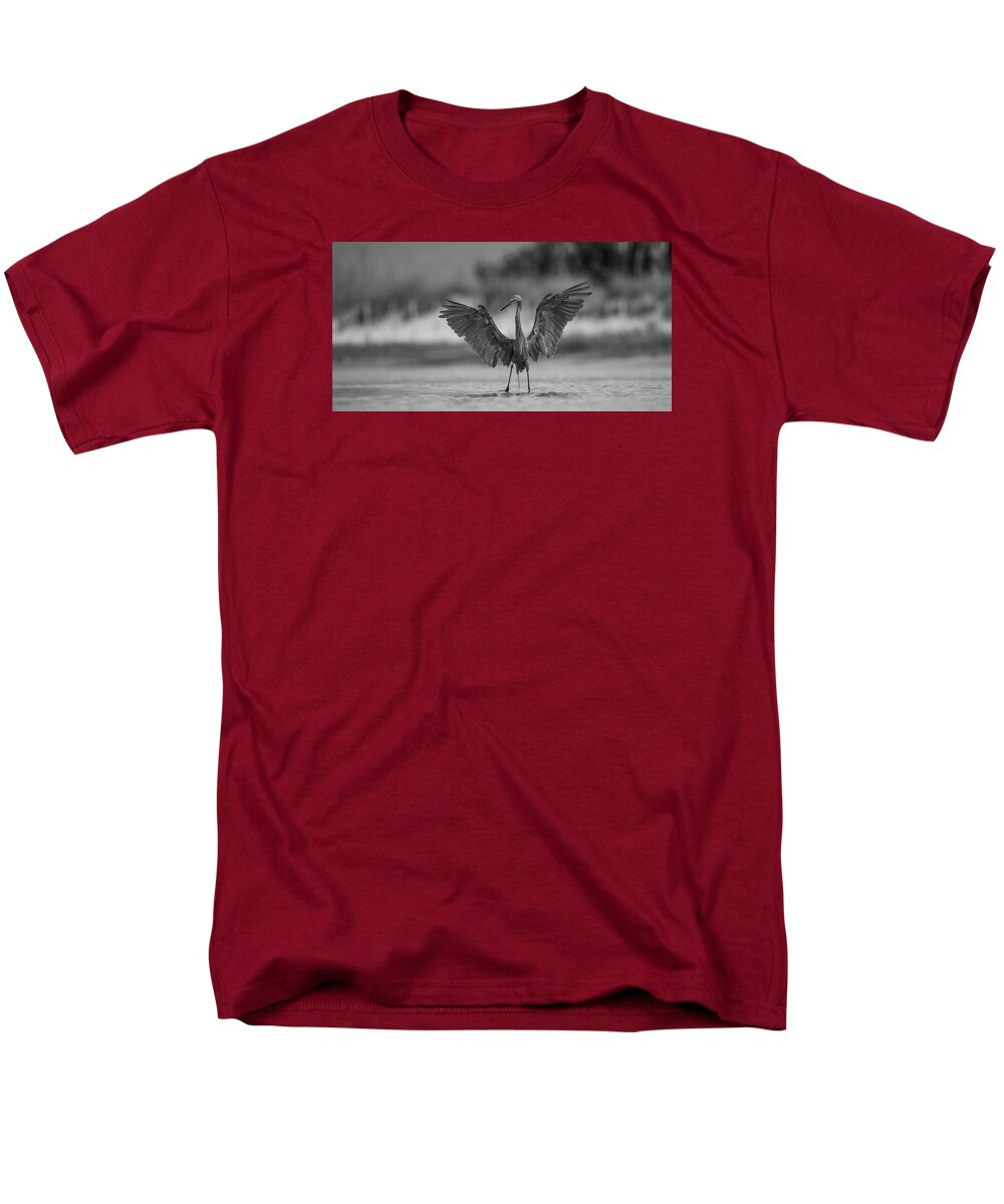 Gray Cathedral - Men's T-Shirt  (Regular Fit)