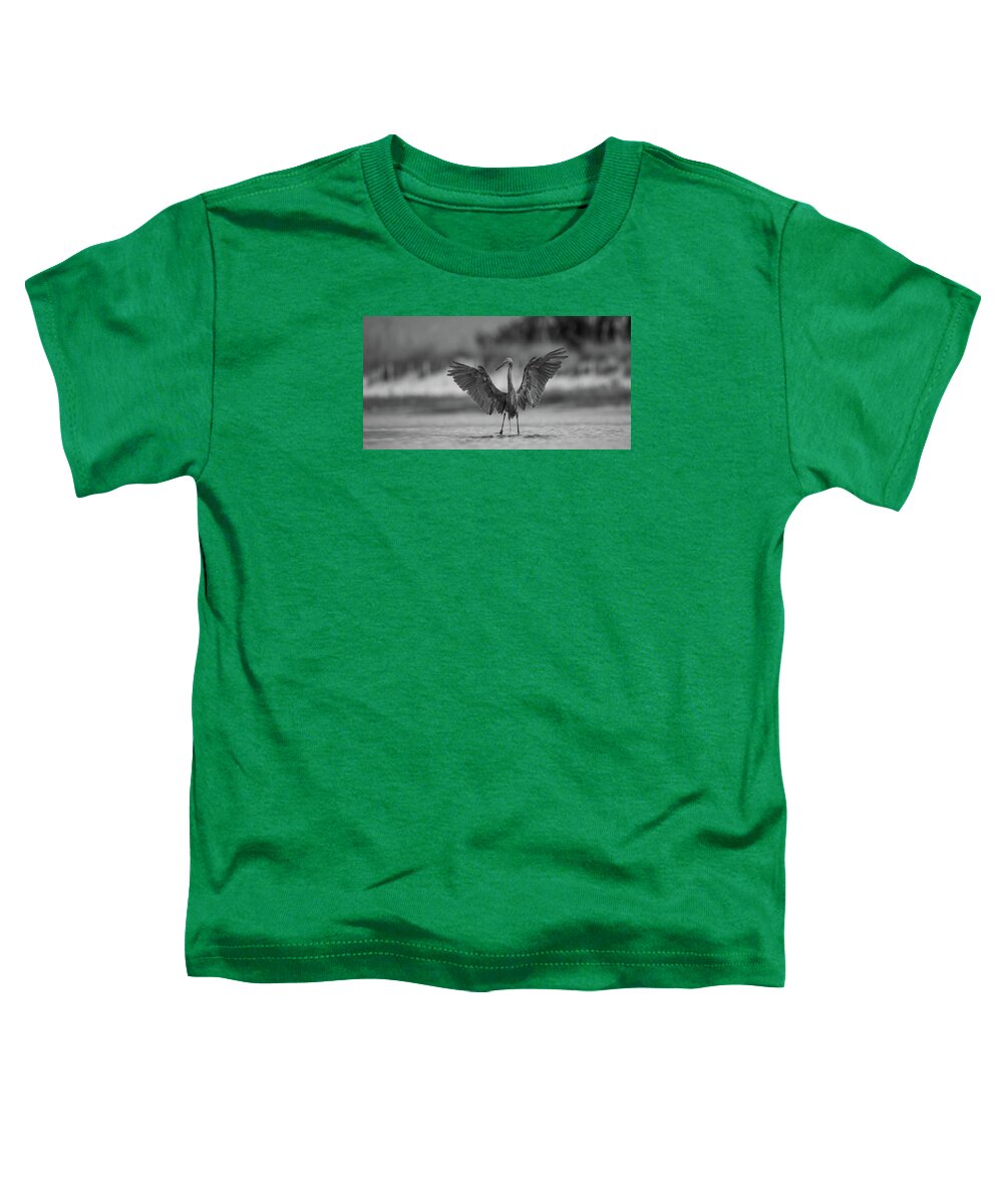 Gray Cathedral - Toddler T-Shirt