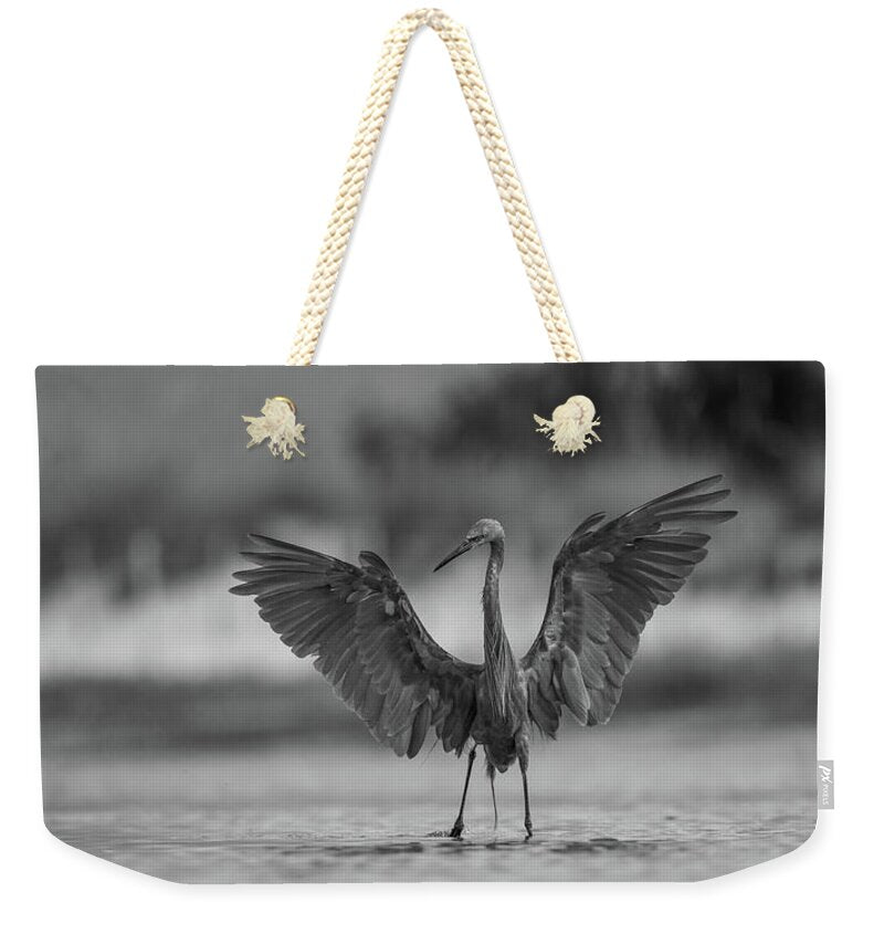 Gray Cathedral - Weekender Tote Bag