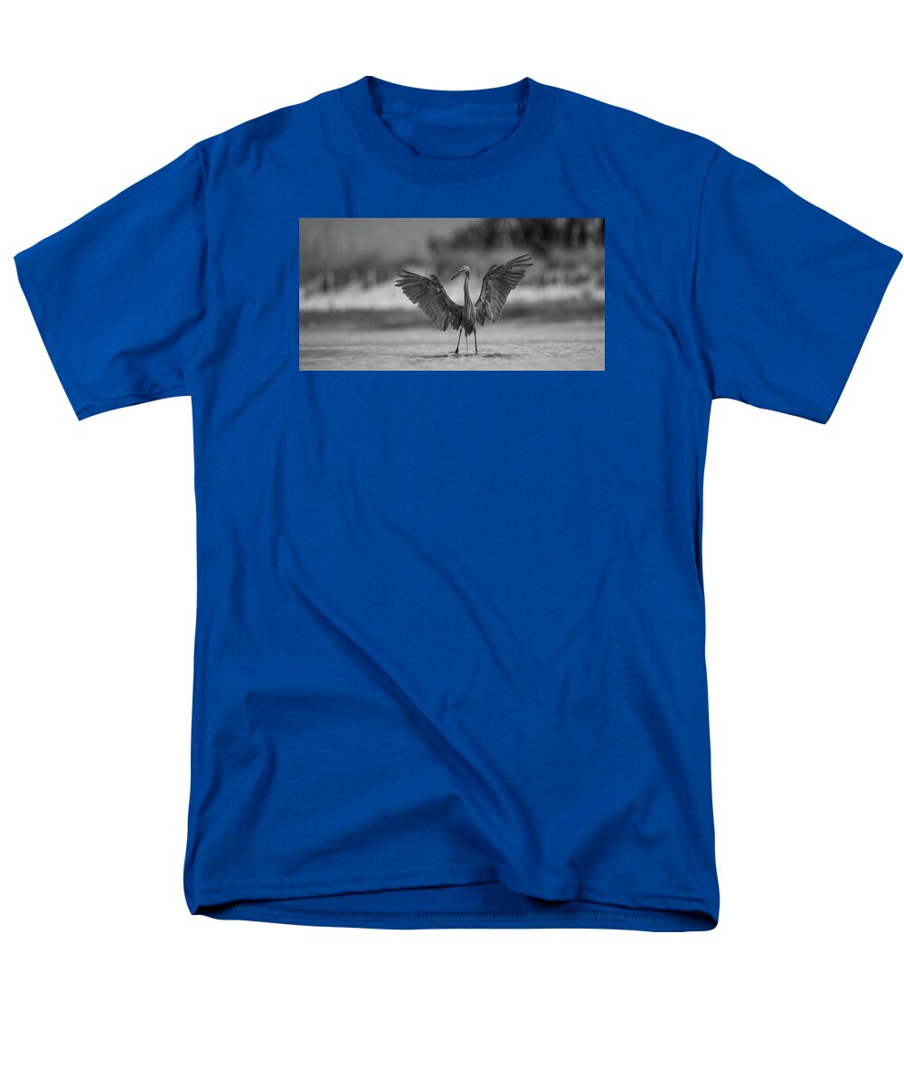 Gray Cathedral - Men's T-Shirt  (Regular Fit)