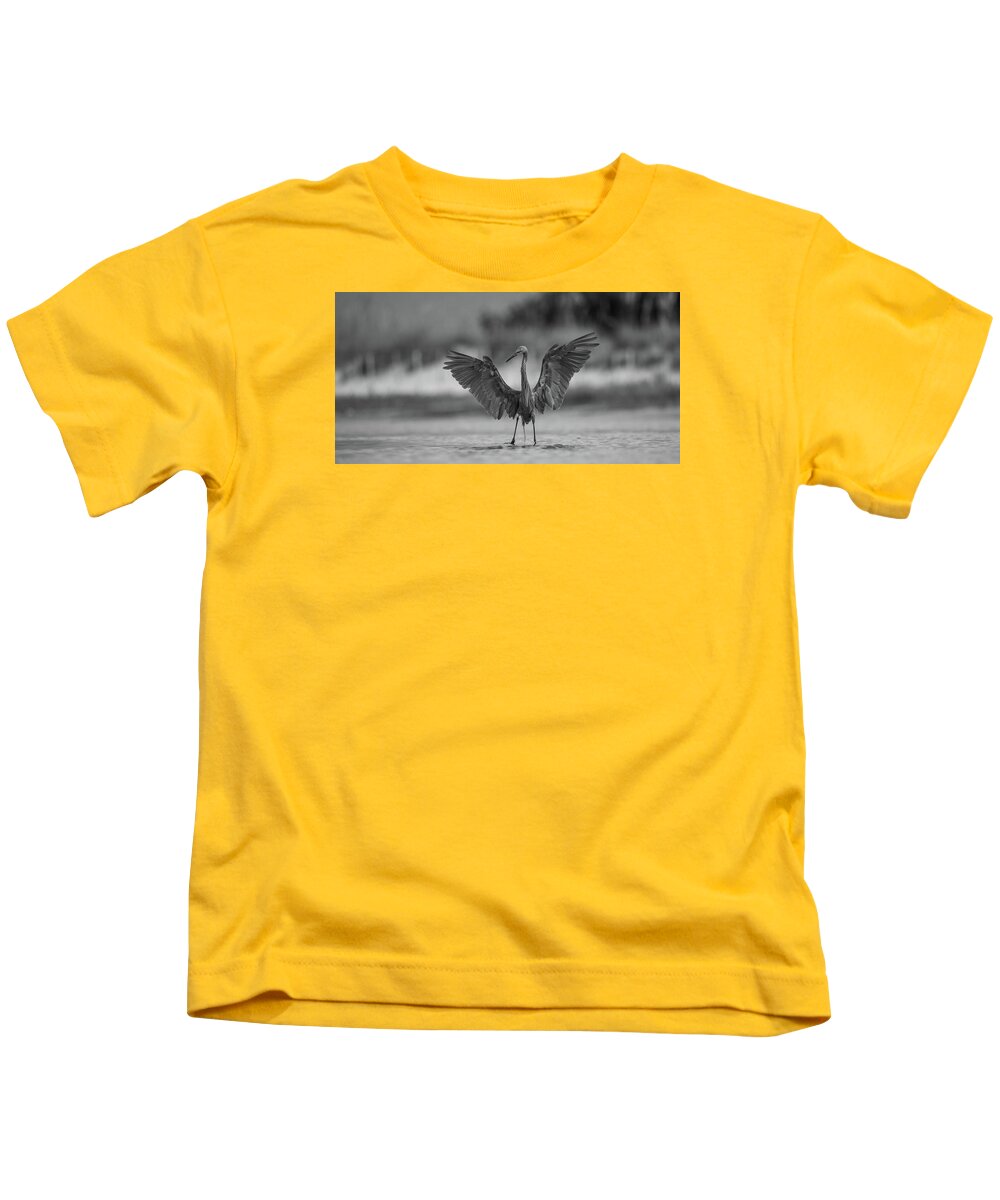 Gray Cathedral - Kids T-Shirt
