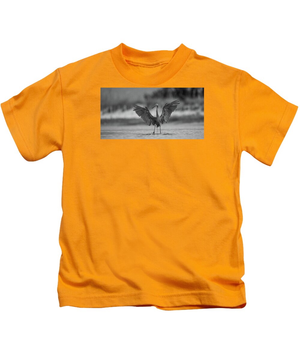Gray Cathedral - Kids T-Shirt