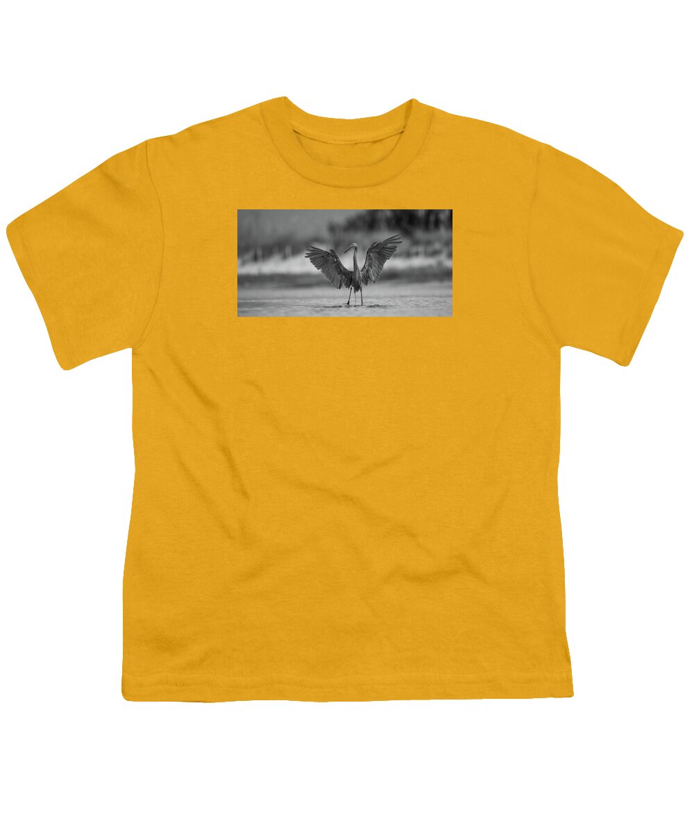 Gray Cathedral - Youth T-Shirt