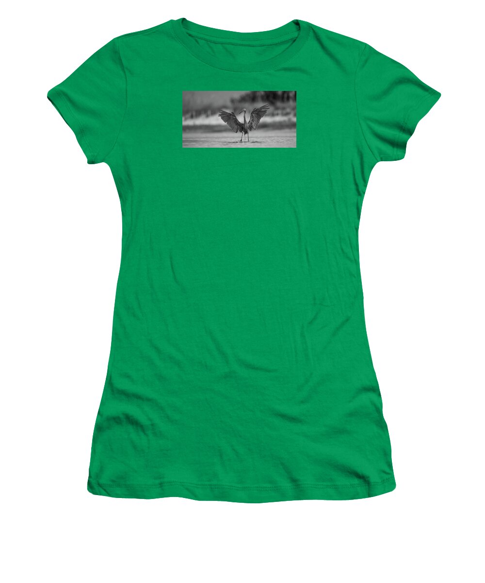 Gray Cathedral - Women's T-Shirt