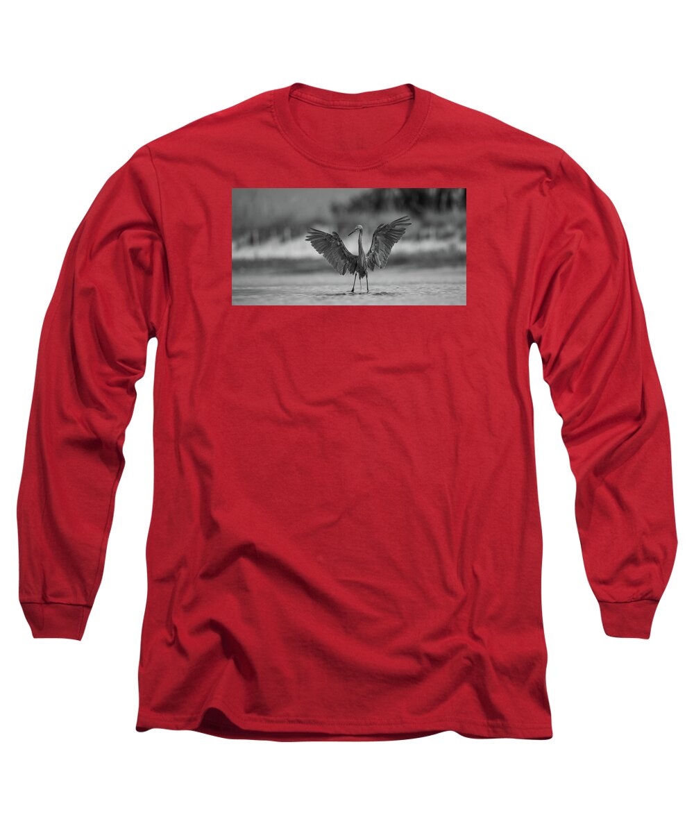 Gray Cathedral - Long Sleeve T-Shirt