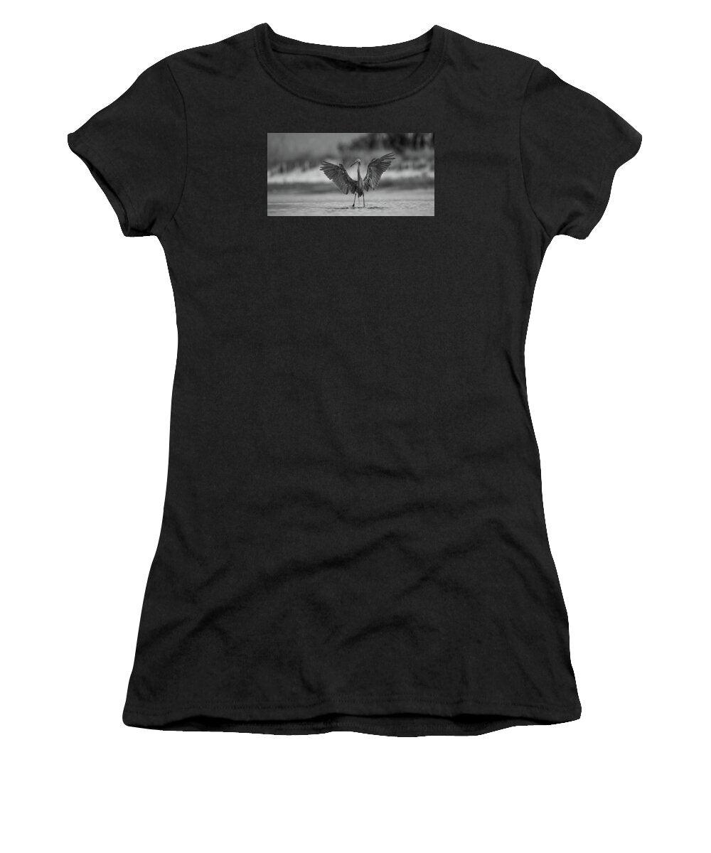 Gray Cathedral - Women's T-Shirt