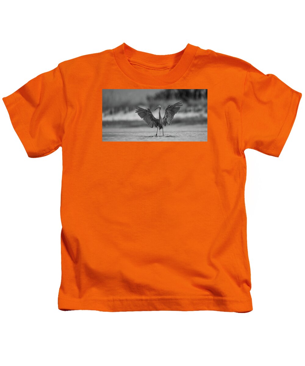 Gray Cathedral - Kids T-Shirt