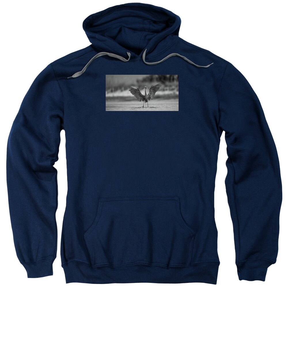 Gray Cathedral - Sweatshirt