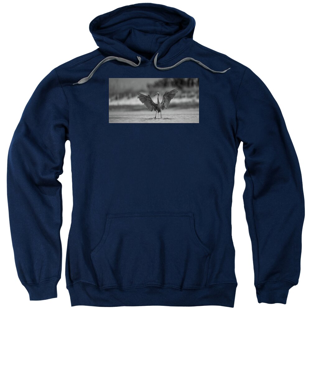 Gray Cathedral - Sweatshirt