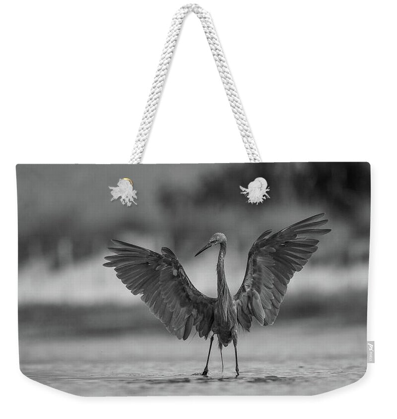 Gray Cathedral - Weekender Tote Bag