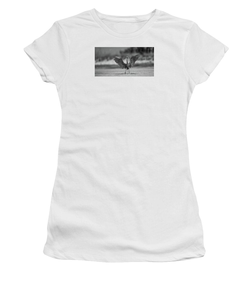 Gray Cathedral - Women's T-Shirt