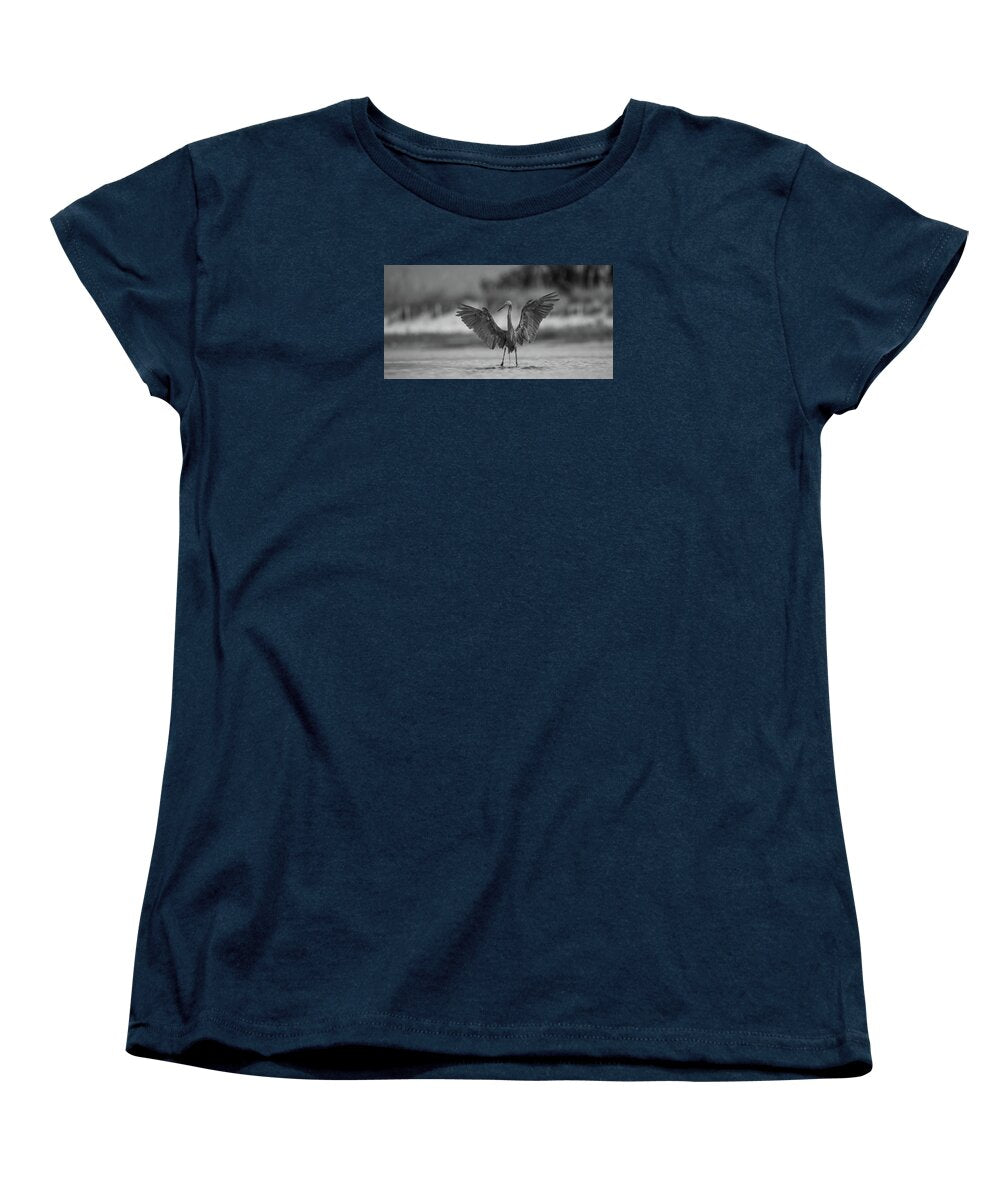 Gray Cathedral - Women's T-Shirt (Standard Fit)