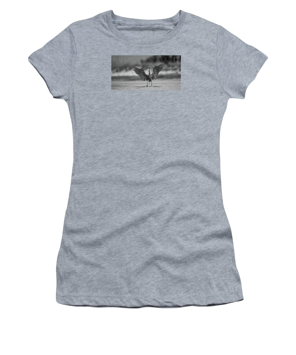 Gray Cathedral - Women's T-Shirt