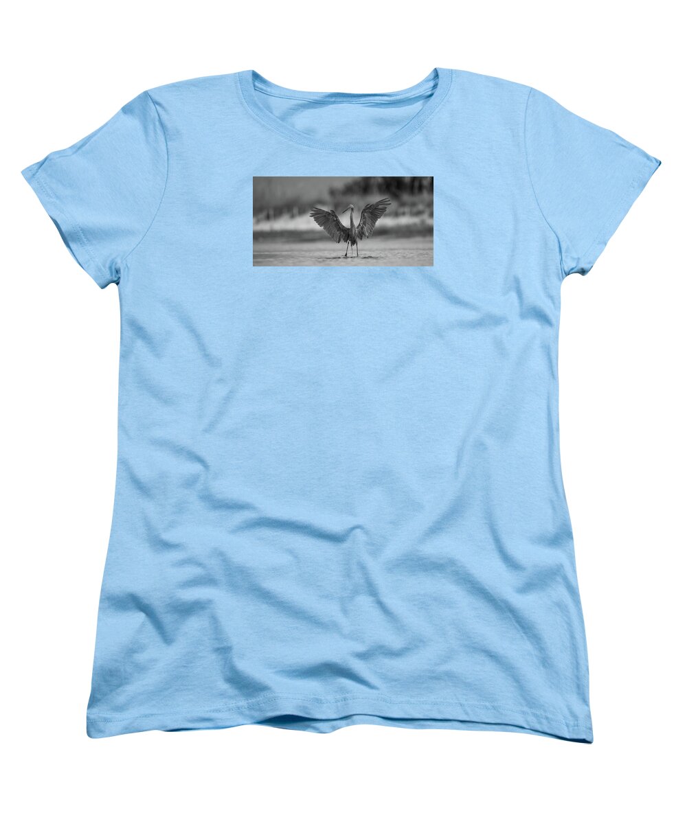 Gray Cathedral - Women's T-Shirt (Standard Fit)