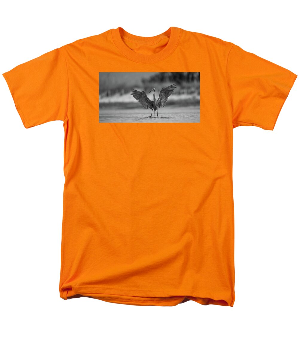 Gray Cathedral - Men's T-Shirt  (Regular Fit)