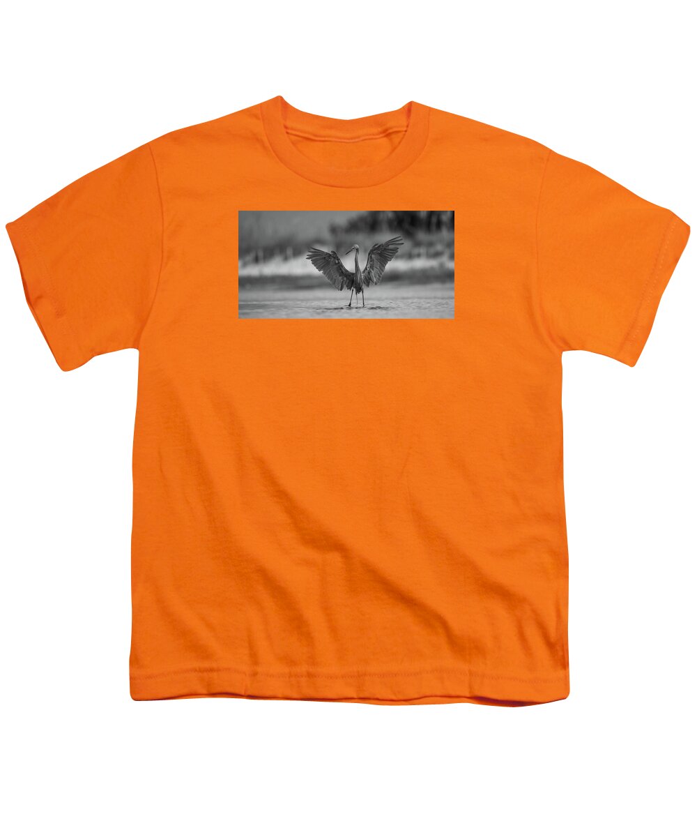 Gray Cathedral - Youth T-Shirt