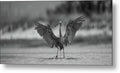 Gray Cathedral - Metal Print