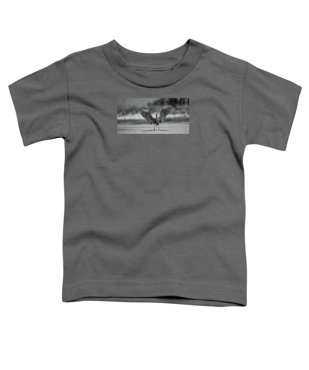 Gray Cathedral - Toddler T-Shirt