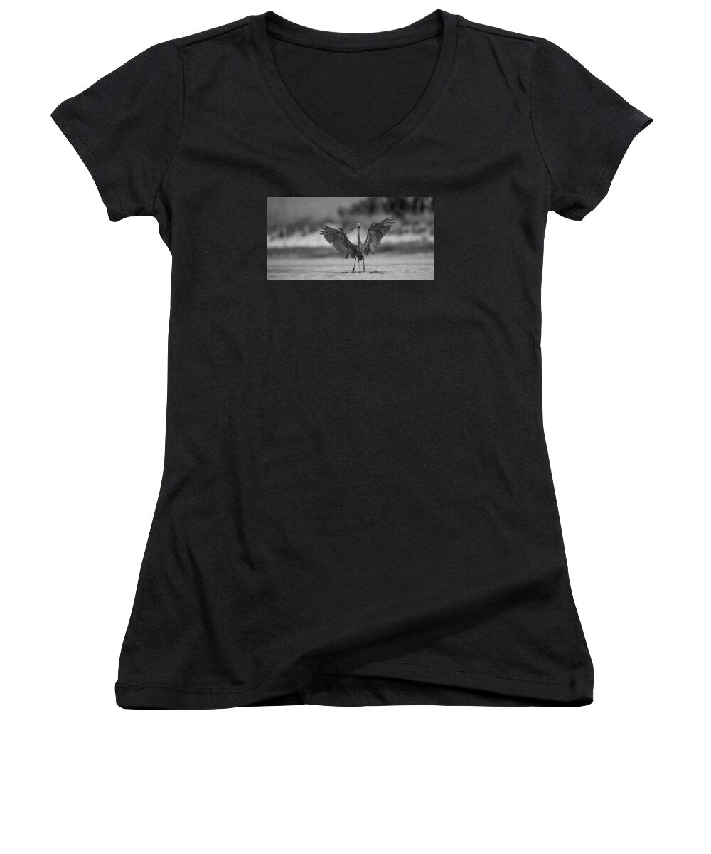 Gray Cathedral - Women's V-Neck