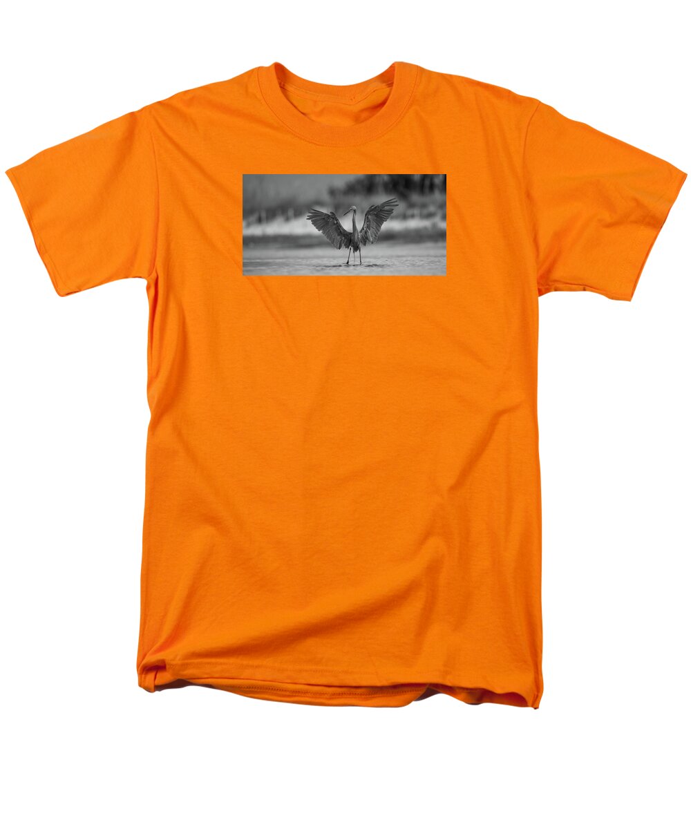 Gray Cathedral - Men's T-Shirt  (Regular Fit)
