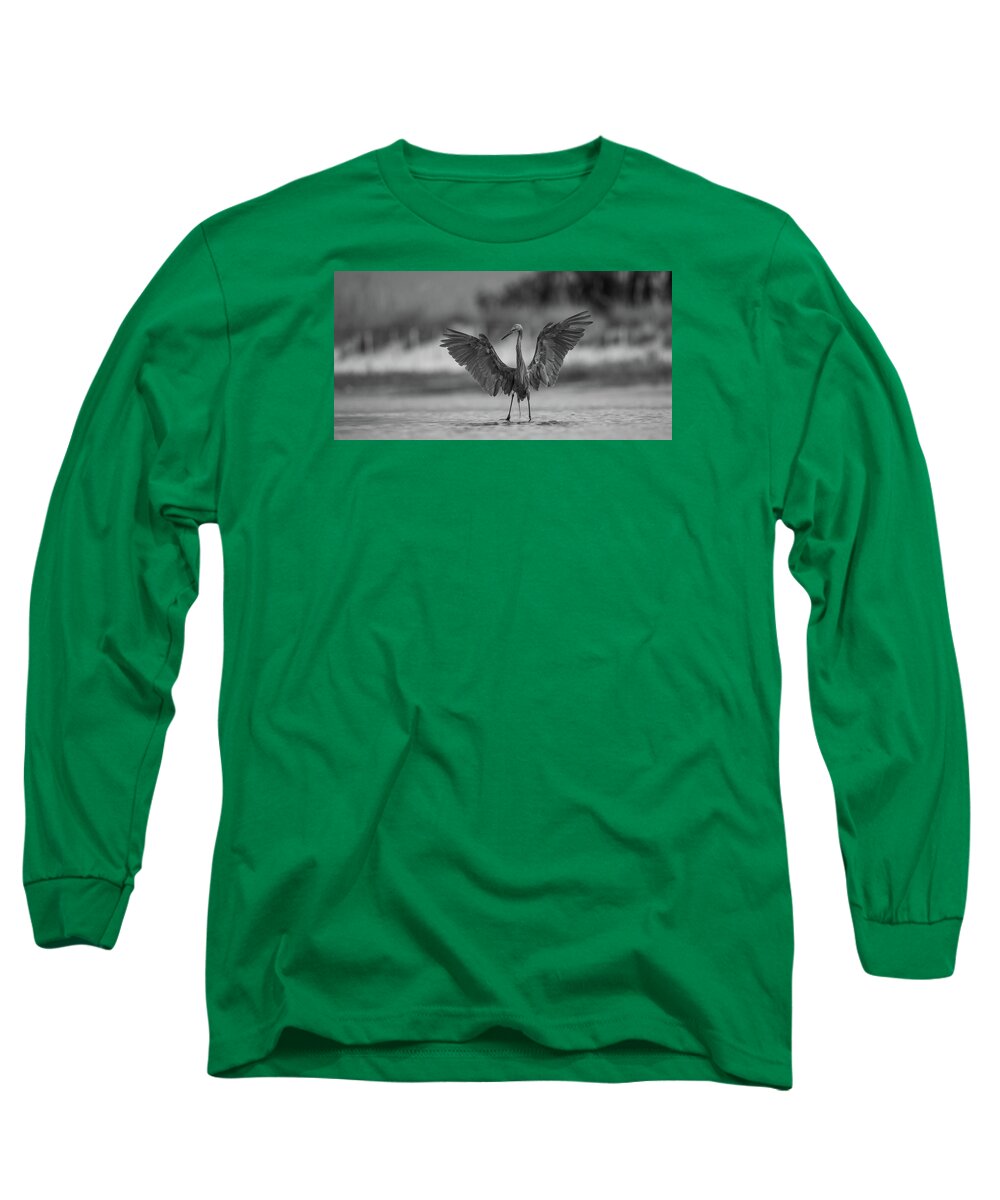 Gray Cathedral - Long Sleeve T-Shirt