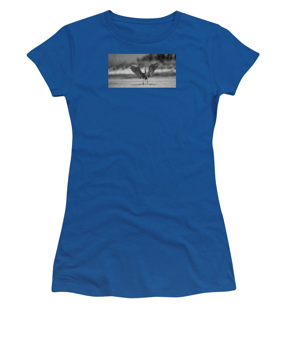 Gray Cathedral - Women's T-Shirt