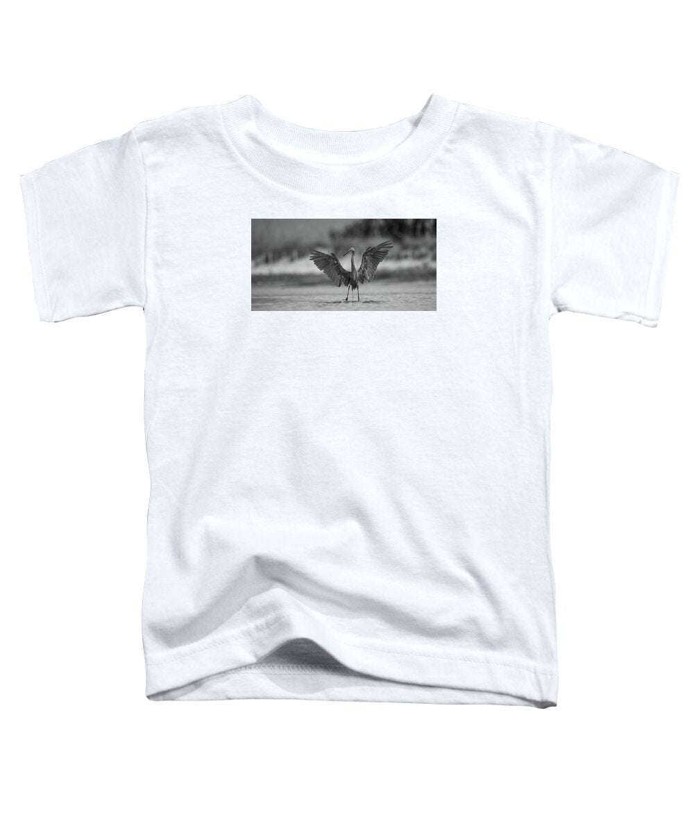 Gray Cathedral - Toddler T-Shirt