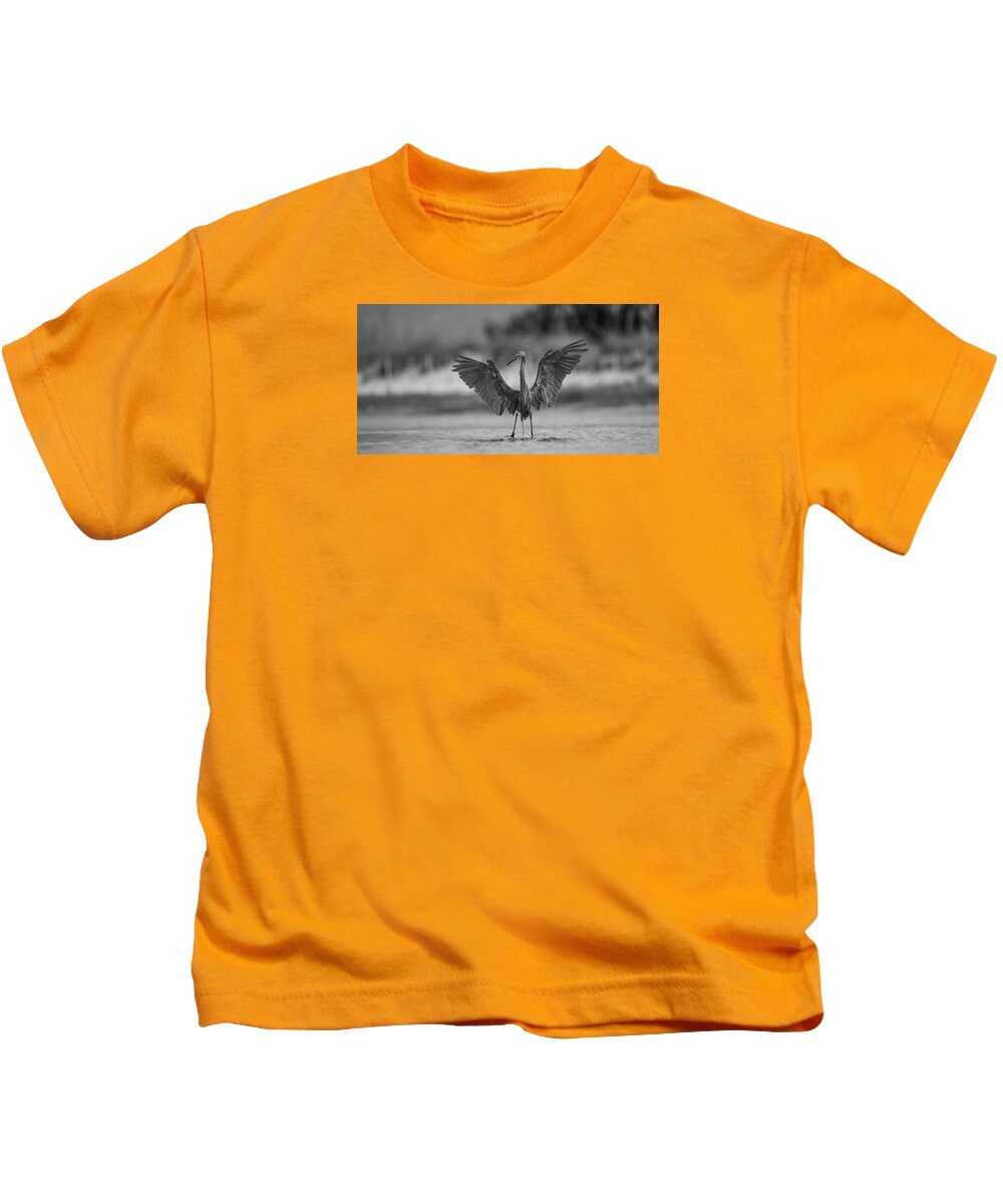 Gray Cathedral - Kids T-Shirt