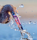 Heron Catching Its Prey in Motion - Art Print