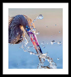 Heron Catching Its Prey in Motion - Framed Print