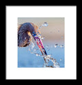 Heron Catching Its Prey in Motion - Framed Print
