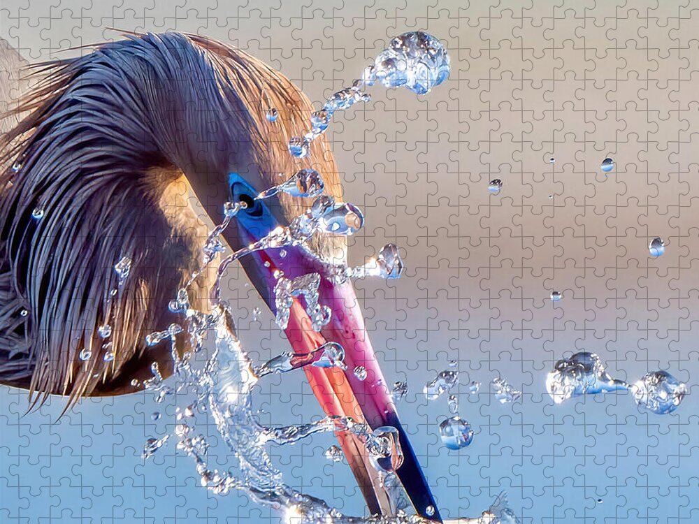 Heron Catching Its Prey in Motion - Puzzle